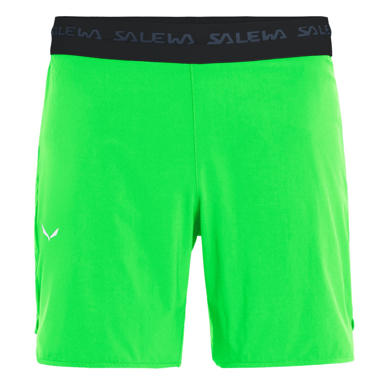 Calções Salewa Pedroc 2 Durastretch Homem Verdes 540PFDIEL